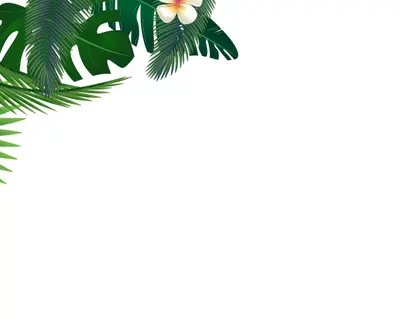 燕昊辰