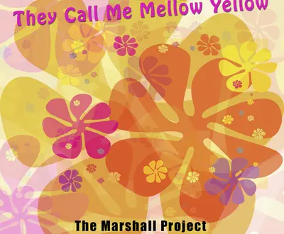 The Marshall Project