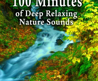 Nature Soundscape