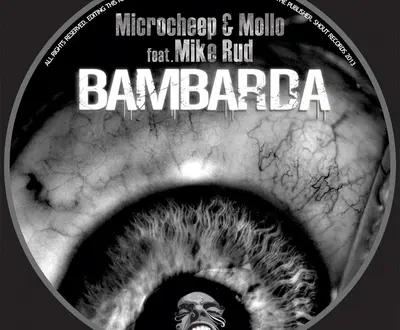 MicRoCheep