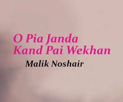 Malik Noshair