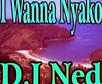 Dj Ned