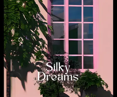 Silky Dreams
