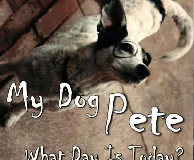 My Dog Pete