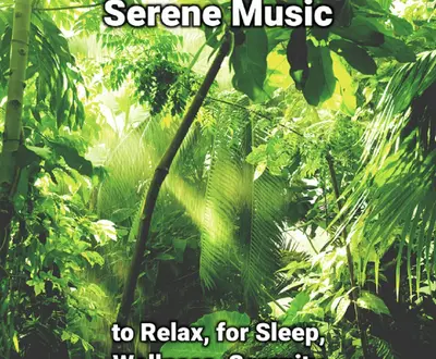 Soft Music