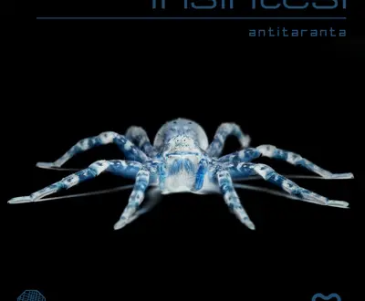Insintesi