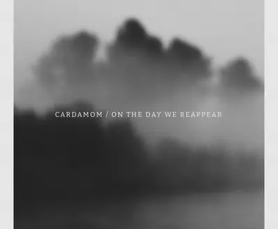 Cardamom