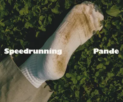 Pande