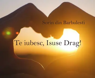 Sorin din Barbulesti