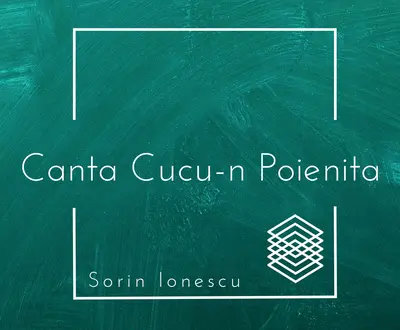 Sorin Ionescu