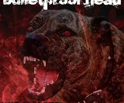 Bulletproof Head