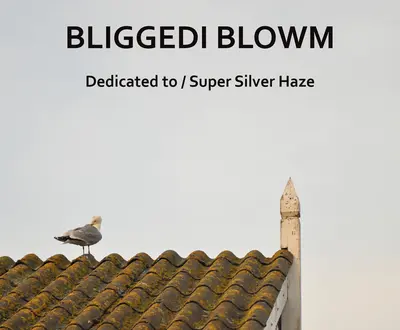 Bliggedi Blowm