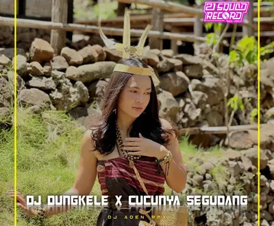 DJ ADEN RMX