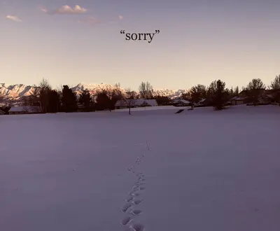 the apology club