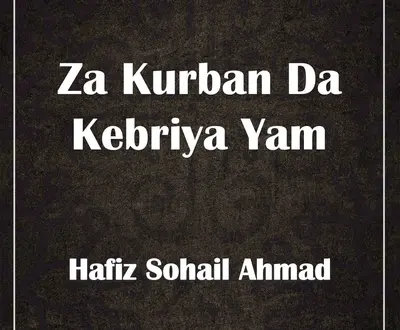 Hafiz Sohail Ahmad