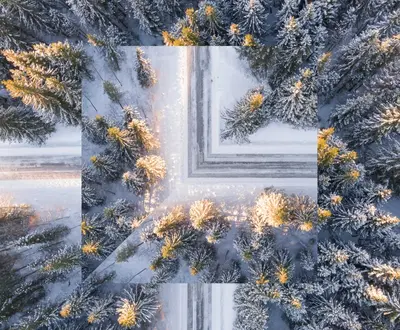Wout