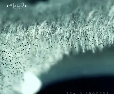 Scald Process