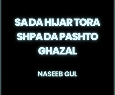 Naseeb Gul