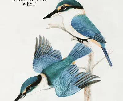 Birds Of The West