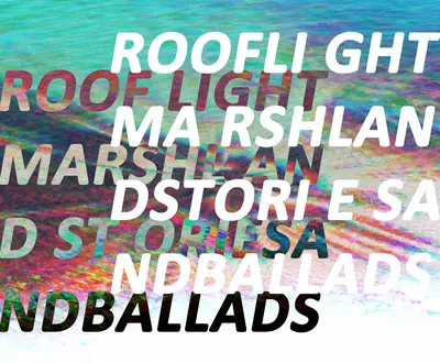 Roof Light