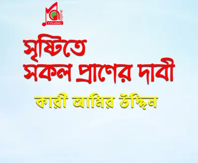 Kari Amir Uddin