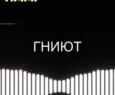 Timmi