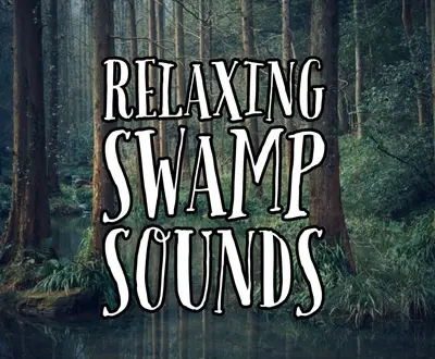 Mother Earth Sounds