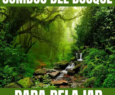 Paz Mental