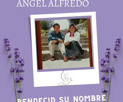 Angel Alfredo