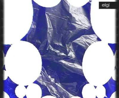 Elgi
