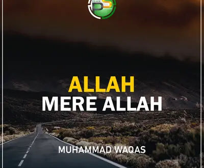Muhammad Waqas