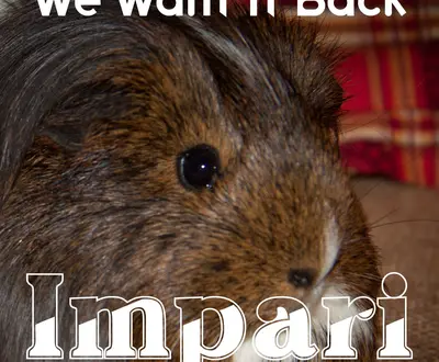 Impari