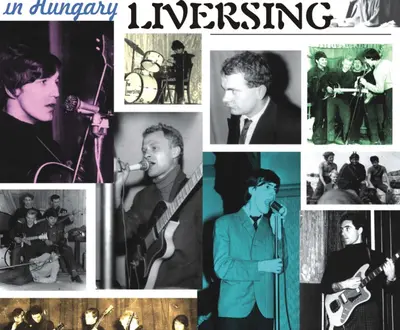 Liversing
