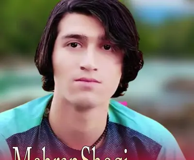 Mehran Shoqi
