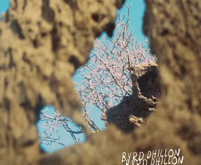 Byrd Dhillon