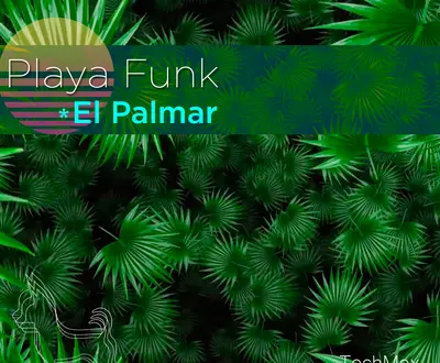 Playa Funk