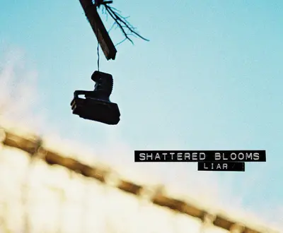Shattered Blooms