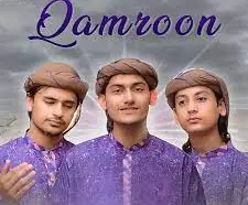 Rao Brothers