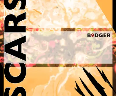 b9dger