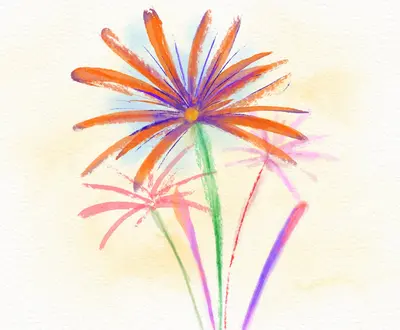 blossoming