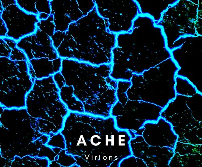 Virions