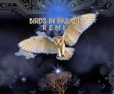 Bird Tribe