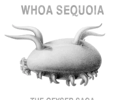 Whoa Sequoia