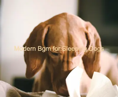 Music for Sleeping Puppies