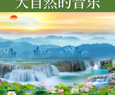 森林的声音 Star