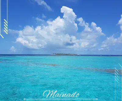 Bonito Acuatico