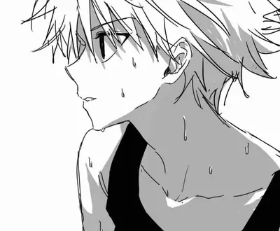Aster.