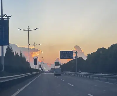 沈清野