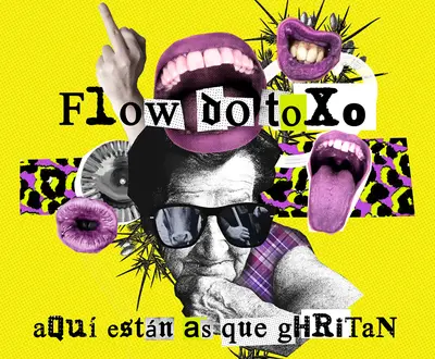 Flow do Toxo