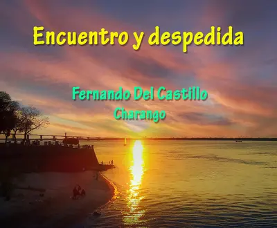 Fernando Del Castillo Charango